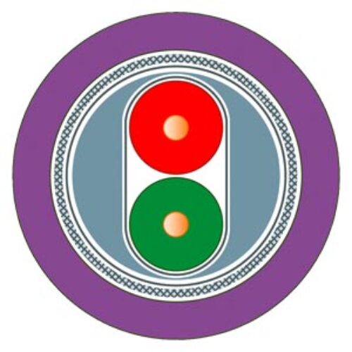 SIEMENS SIMATIC, PROFIBUS FC STANDARD CABLE GP BUS CABLE 2-WIRE SHIELDED SPECIAL CONFIGURATION FOR QUICK ASSEMBLY DELIVERY UNIT: MAX. 1000 m, MINIMUM ORDER QUANTITY 20 m SOLD BY THE METER